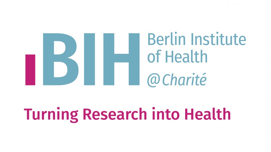 BIH-CD_02_Markenentwicklung-Logo-896x504.jpg